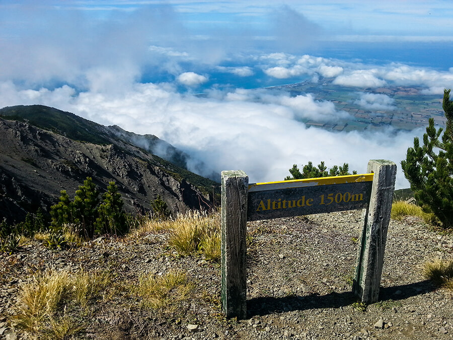 Getting there… only 100m of climbing to go.  Kaikoura in the distance below us. 