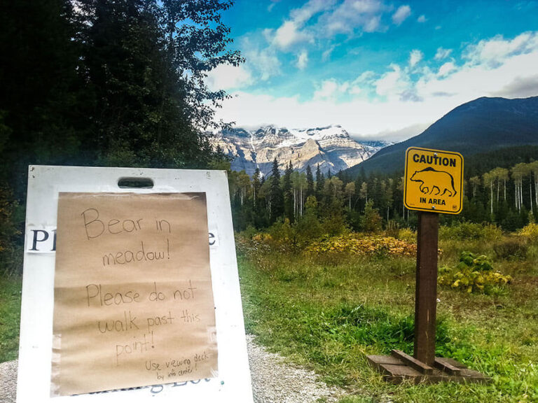 The bear warning sign in the meadow at Mt Robson Visitor Center. 