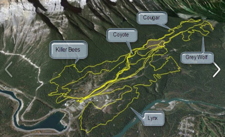 The Grizzly Ultra
