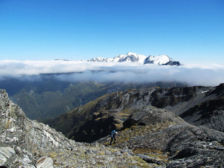 The view towards Mt Adams on the West Coast