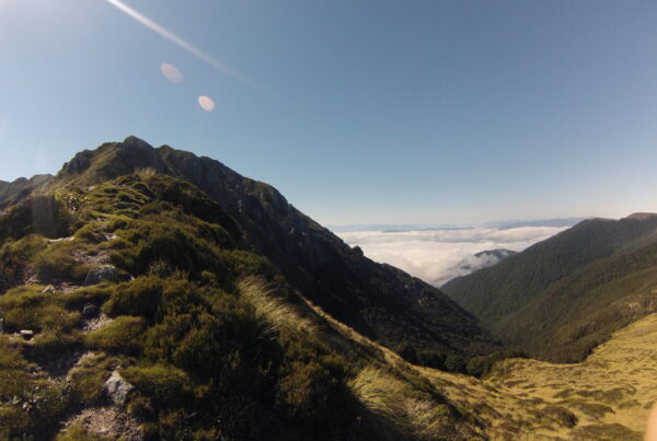 The View to Rocky Tor