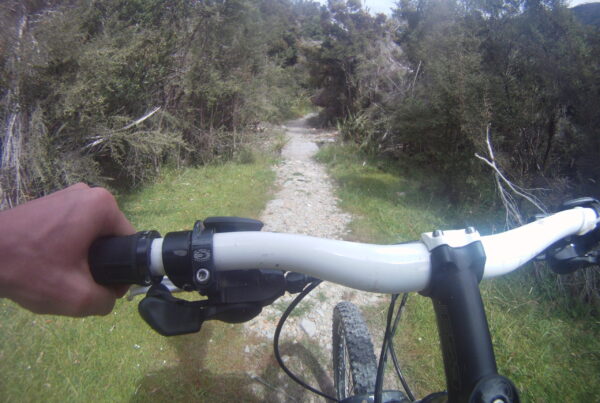 Mountain Biking the Croesus Track
