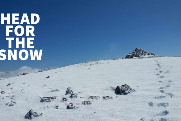 Head for the Snow