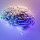 Pick My Brain - Digital Marketing